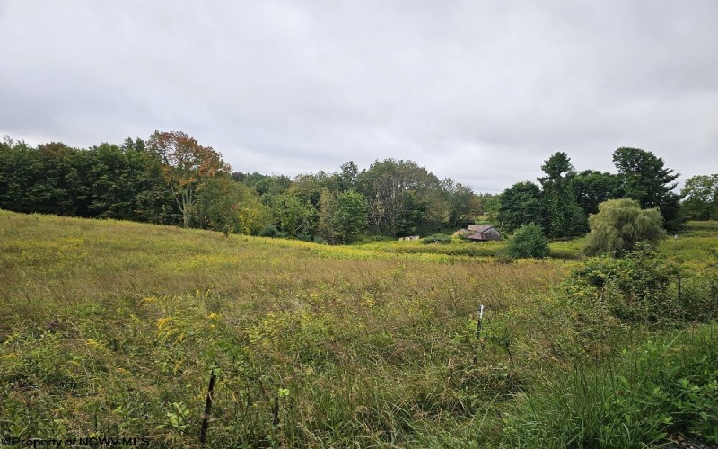 5196 Eden Road, Rock Cave, West Virginia 26234, ,Lots/land,For Sale,Eden,10161420
