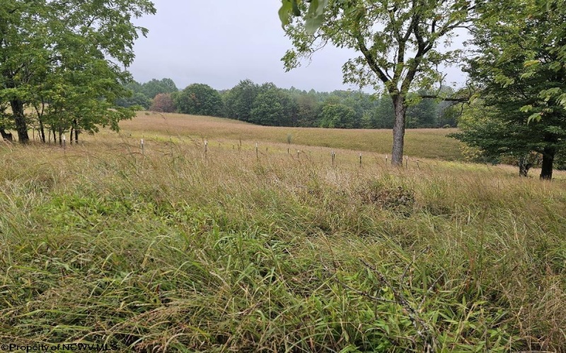 5196 Eden Road, Rock Cave, West Virginia 26234, ,Lots/land,For Sale,Eden,10161420