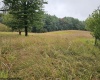 5196 Eden Road, Rock Cave, West Virginia 26234, ,Lots/land,For Sale,Eden,10161420