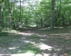 215 Holbrook Hollow Road, Cowen, West Virginia 26206, ,Lots/land,For Sale,Holbrook Hollow,10161422