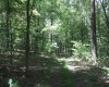 215 Holbrook Hollow Road, Cowen, West Virginia 26206, ,Lots/land,For Sale,Holbrook Hollow,10161422