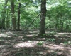 215 Holbrook Hollow Road, Cowen, West Virginia 26206, ,Lots/land,For Sale,Holbrook Hollow,10161422
