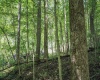 TBD Long Run Road, Worthington, West Virginia 26591, ,Lots/land,For Sale,Long Run,10161428