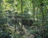 TBD Long Run Road, Worthington, West Virginia 26591, ,Lots/land,For Sale,Long Run,10161428