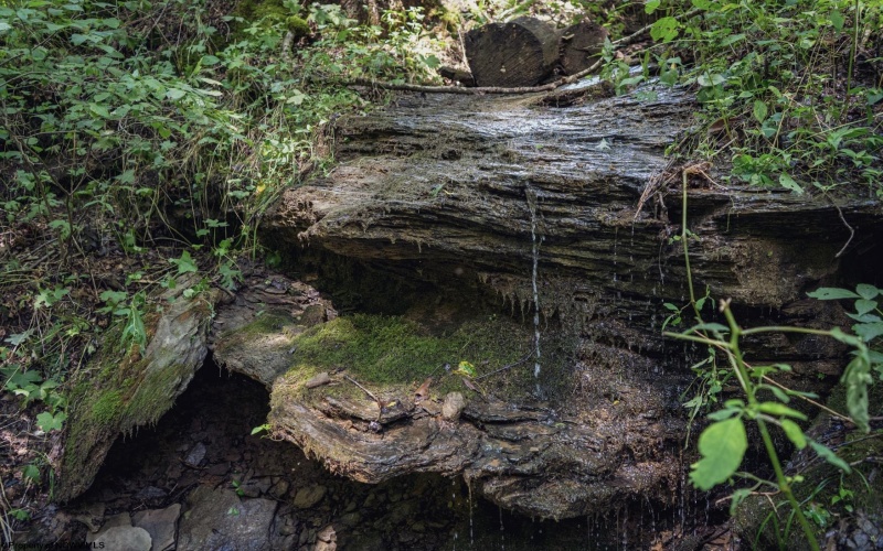 TBD Long Run Road, Worthington, West Virginia 26591, ,Lots/land,For Sale,Long Run,10161428