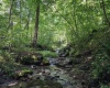 TBD Long Run Road, Worthington, West Virginia 26591, ,Lots/land,For Sale,Long Run,10161428