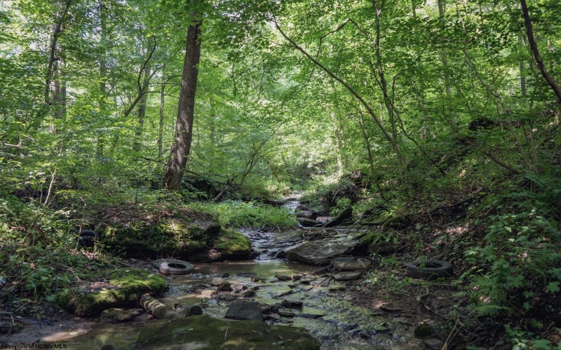 TBD Long Run Road, Worthington, West Virginia 26591, ,Lots/land,For Sale,Long Run,10161428