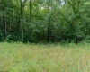 TBD Long Run Road, Worthington, West Virginia 26591, ,Lots/land,For Sale,Long Run,10161428