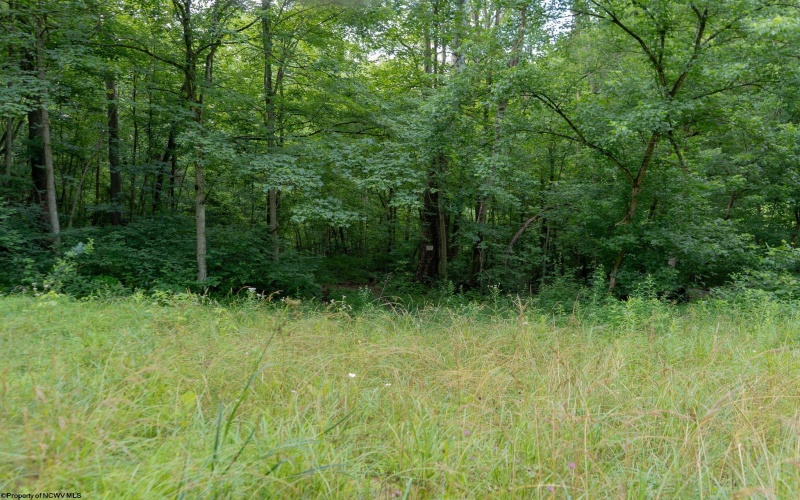 TBD Long Run Road, Worthington, West Virginia 26591, ,Lots/land,For Sale,Long Run,10161428