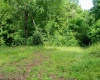 TBD Long Run Road, Worthington, West Virginia 26591, ,Lots/land,For Sale,Long Run,10161428