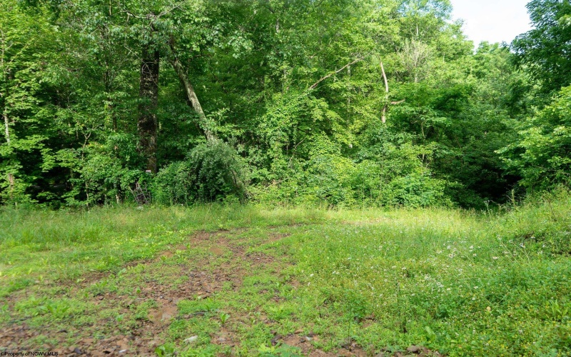 TBD Long Run Road, Worthington, West Virginia 26591, ,Lots/land,For Sale,Long Run,10161428