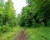 TBD Long Run Road, Worthington, West Virginia 26591, ,Lots/land,For Sale,Long Run,10161428