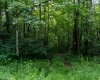 TBD Long Run Road, Worthington, West Virginia 26591, ,Lots/land,For Sale,Long Run,10161428