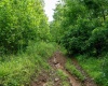 TBD Long Run Road, Worthington, West Virginia 26591, ,Lots/land,For Sale,Long Run,10161428