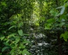 TBD Long Run Road, Worthington, West Virginia 26591, ,Lots/land,For Sale,Long Run,10161428