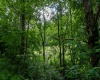 TBD Long Run Road, Worthington, West Virginia 26591, ,Lots/land,For Sale,Long Run,10161428