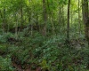 TBD Long Run Road, Worthington, West Virginia 26591, ,Lots/land,For Sale,Long Run,10161428