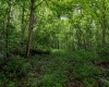 TBD Long Run Road, Worthington, West Virginia 26591, ,Lots/land,For Sale,Long Run,10161428