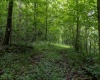 TBD Long Run Road, Worthington, West Virginia 26591, ,Lots/land,For Sale,Long Run,10161428