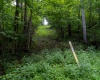 TBD Long Run Road, Worthington, West Virginia 26591, ,Lots/land,For Sale,Long Run,10161428