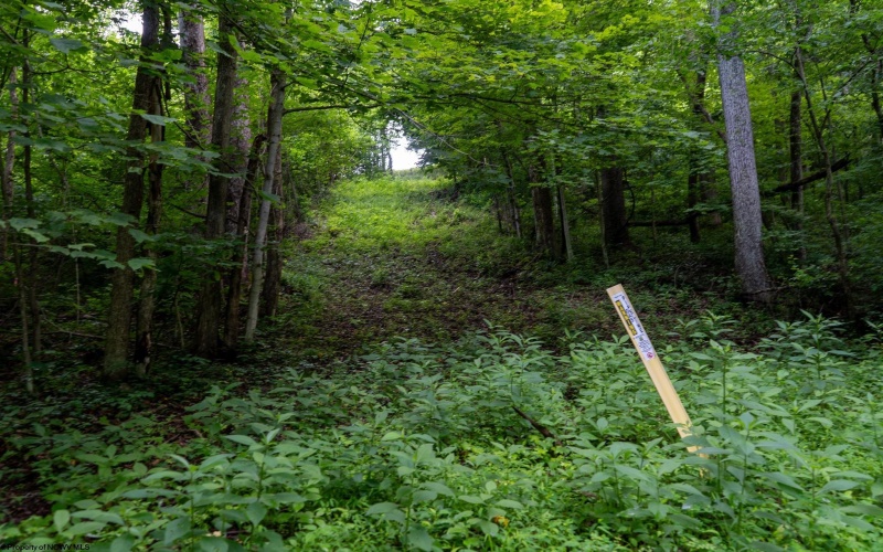 TBD Long Run Road, Worthington, West Virginia 26591, ,Lots/land,For Sale,Long Run,10161428