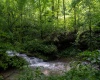 TBD Long Run Road, Worthington, West Virginia 26591, ,Lots/land,For Sale,Long Run,10161428