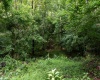 TBD Long Run Road, Worthington, West Virginia 26591, ,Lots/land,For Sale,Long Run,10161428