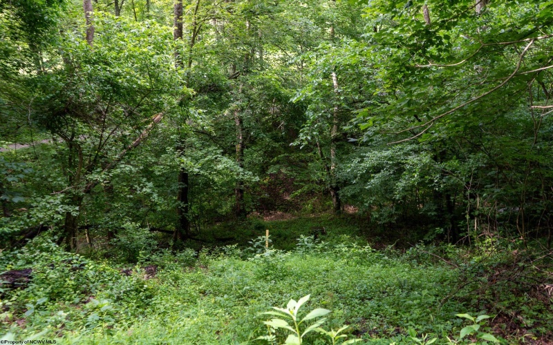 TBD Long Run Road, Worthington, West Virginia 26591, ,Lots/land,For Sale,Long Run,10161428