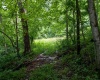 TBD Long Run Road, Worthington, West Virginia 26591, ,Lots/land,For Sale,Long Run,10161428