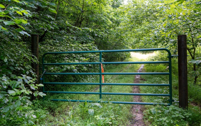 TBD Long Run Road, Worthington, West Virginia 26591, ,Lots/land,For Sale,Long Run,10161428