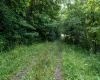 TBD Long Run Road, Worthington, West Virginia 26591, ,Lots/land,For Sale,Long Run,10161428