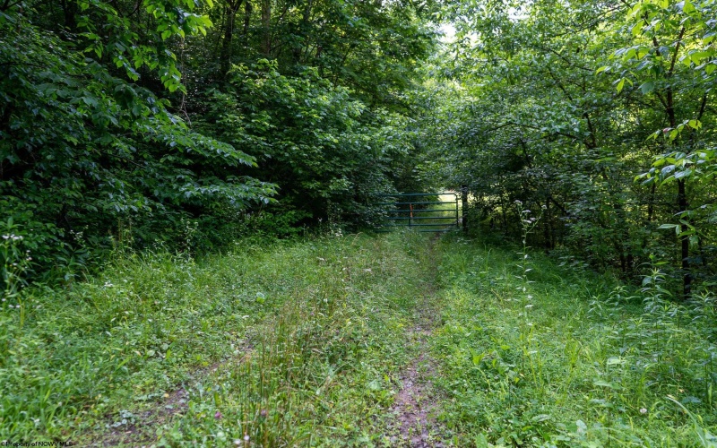 TBD Long Run Road, Worthington, West Virginia 26591, ,Lots/land,For Sale,Long Run,10161428