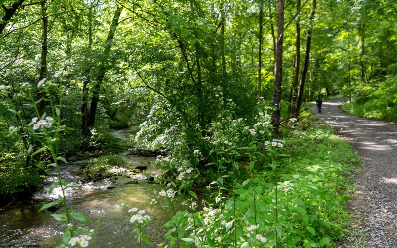 TBD Long Run Road, Worthington, West Virginia 26591, ,Lots/land,For Sale,Long Run,10161428