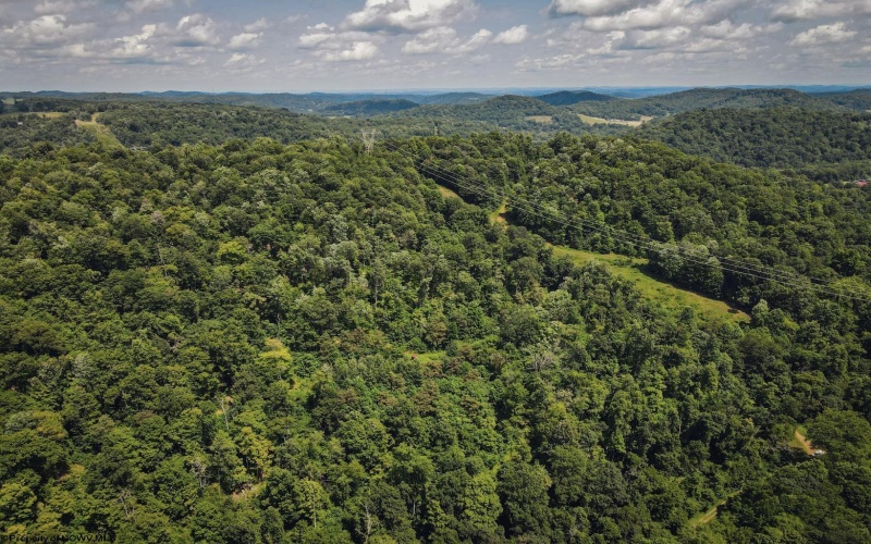TBD Long Run Road, Worthington, West Virginia 26591, ,Lots/land,For Sale,Long Run,10161428