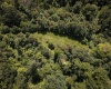 TBD Long Run Road, Worthington, West Virginia 26591, ,Lots/land,For Sale,Long Run,10161428