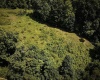 TBD Long Run Road, Worthington, West Virginia 26591, ,Lots/land,For Sale,Long Run,10161428