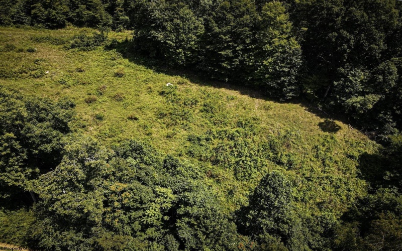 TBD Long Run Road, Worthington, West Virginia 26591, ,Lots/land,For Sale,Long Run,10161428