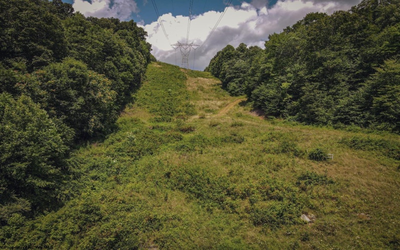 TBD Long Run Road, Worthington, West Virginia 26591, ,Lots/land,For Sale,Long Run,10161428
