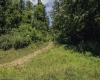 TBD Long Run Road, Worthington, West Virginia 26591, ,Lots/land,For Sale,Long Run,10161428