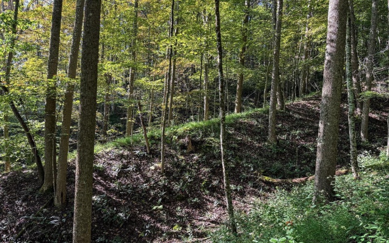 475 Rohrig Road, Smithfield, West Virginia 26437, 2 Bedrooms Bedrooms, 6 Rooms Rooms,2 BathroomsBathrooms,Single Family Detached,For Sale,Rohrig,10161441