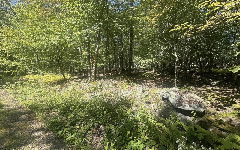 47 Day Lily Court, Terra Alta, West Virginia 26764, ,Lots/land,For Sale,Day Lily,10161450