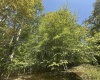 47 Day Lily Court, Terra Alta, West Virginia 26764, ,Lots/land,For Sale,Day Lily,10161450