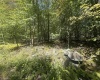 47 Day Lily Court, Terra Alta, West Virginia 26764, ,Lots/land,For Sale,Day Lily,10161450