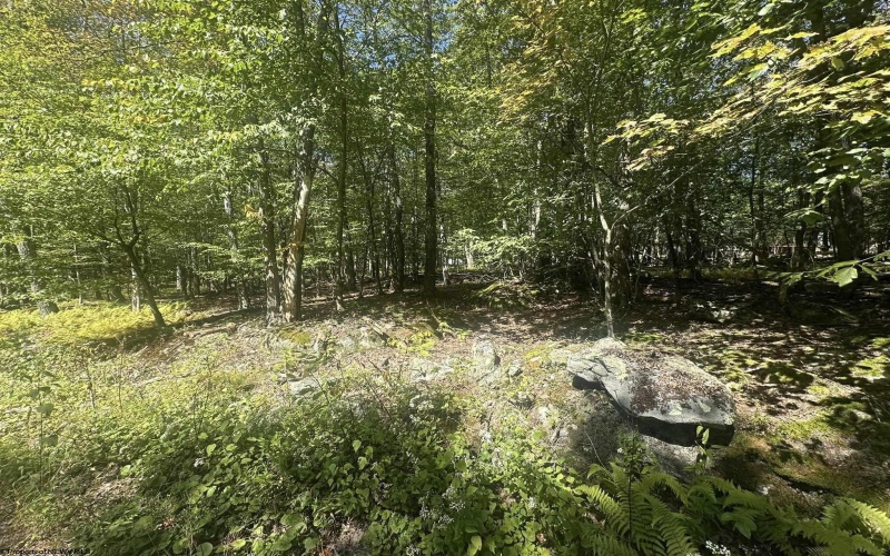 47 Day Lily Court, Terra Alta, West Virginia 26764, ,Lots/land,For Sale,Day Lily,10161450