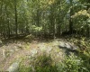 47 Day Lily Court, Terra Alta, West Virginia 26764, ,Lots/land,For Sale,Day Lily,10161450