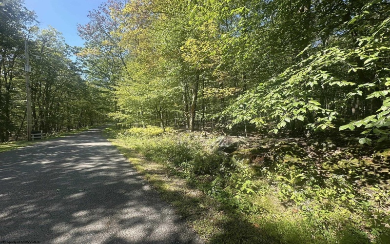 47 Day Lily Court, Terra Alta, West Virginia 26764, ,Lots/land,For Sale,Day Lily,10161450