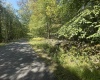 47 Day Lily Court, Terra Alta, West Virginia 26764, ,Lots/land,For Sale,Day Lily,10161450