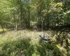 47 Day Lily Court, Terra Alta, West Virginia 26764, ,Lots/land,For Sale,Day Lily,10161450