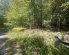 47 Day Lily Court, Terra Alta, West Virginia 26764, ,Lots/land,For Sale,Day Lily,10161450