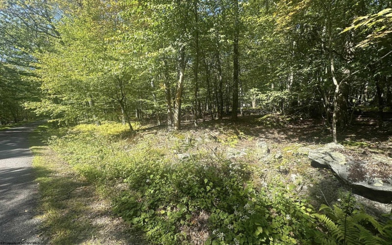 47 Day Lily Court, Terra Alta, West Virginia 26764, ,Lots/land,For Sale,Day Lily,10161450